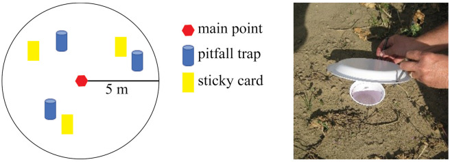 Fig 2