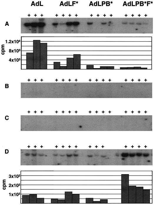 FIG. 6