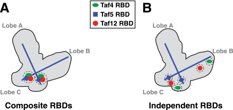 FIGURE 7.