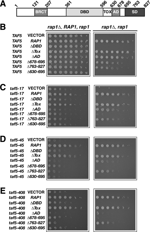 FIGURE 6.