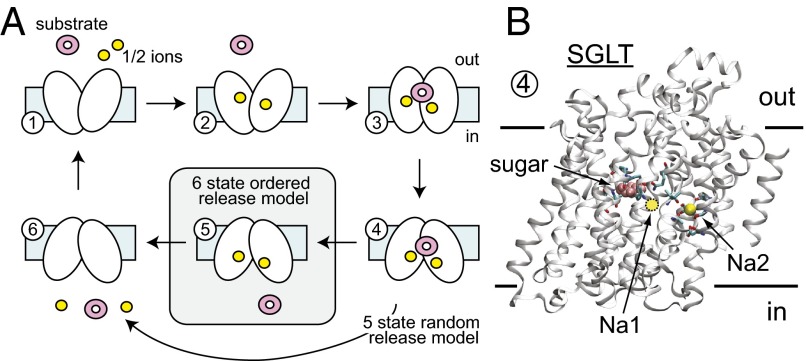 Fig. 1.