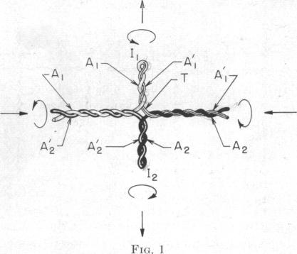 graphic file with name pnas00718-0081-a.jpg