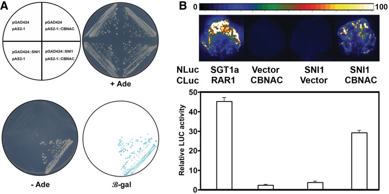 Figure 4.