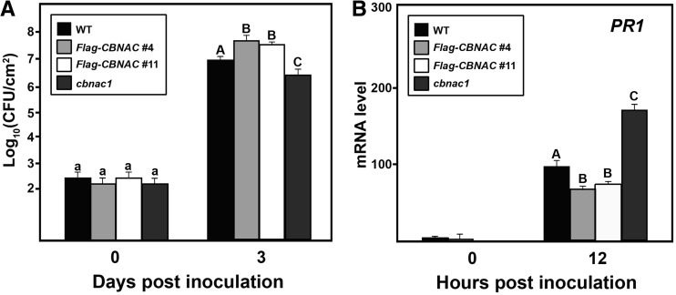 Figure 2.