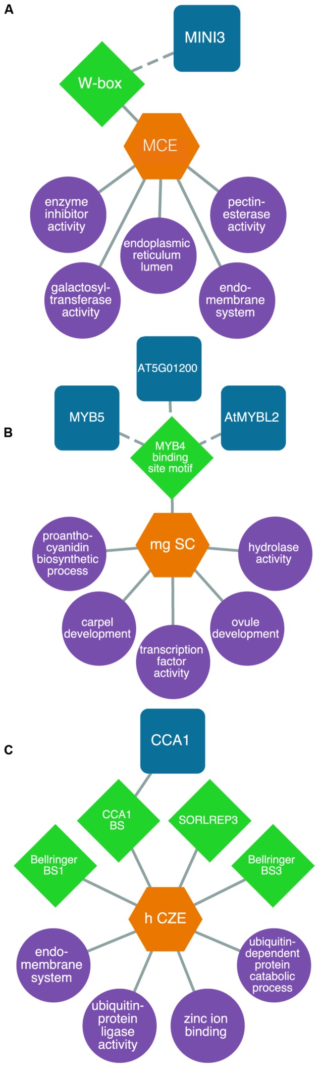 FIGURE 4