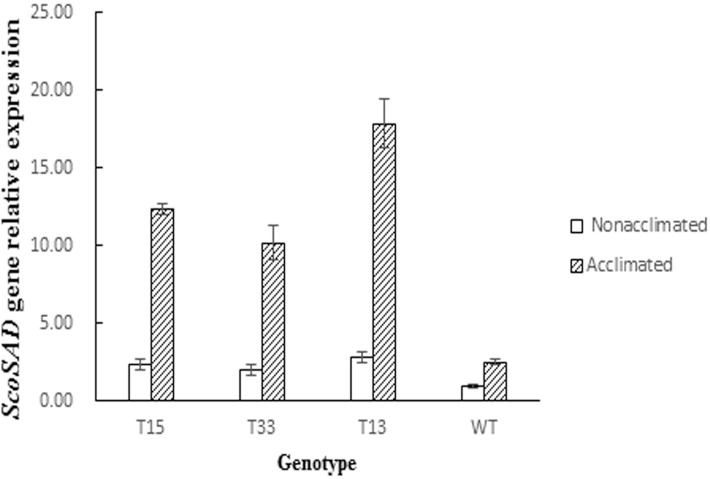 Fig 5