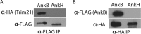 FIG 2