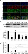 FIG 6