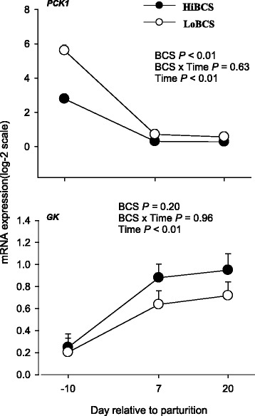 Fig. 8