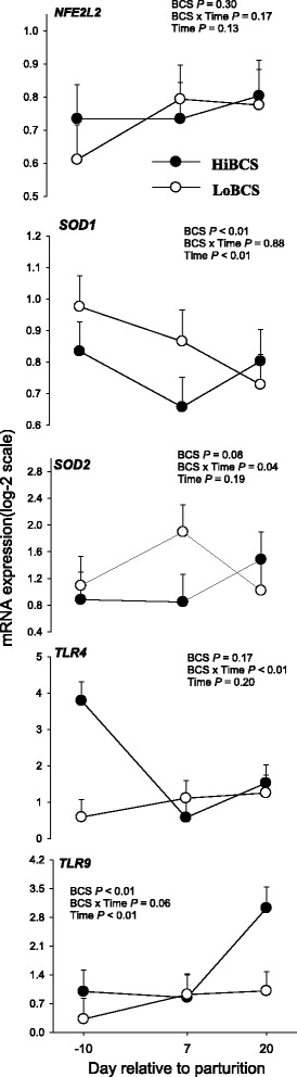 Fig. 9