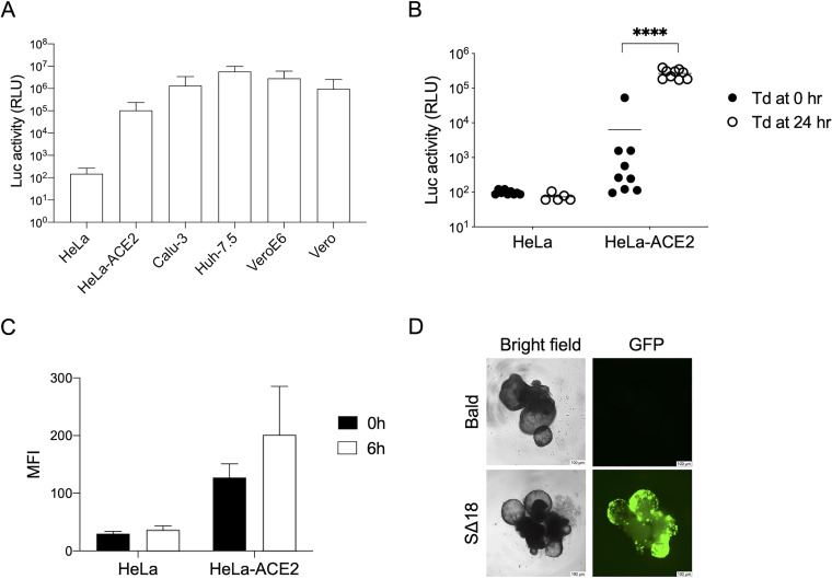 FIG 2