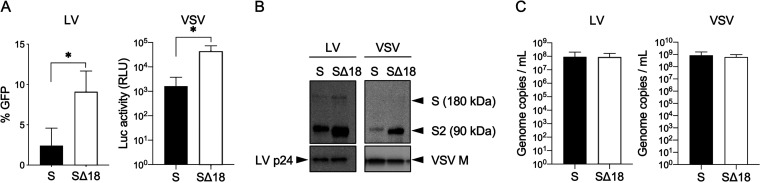 FIG 1