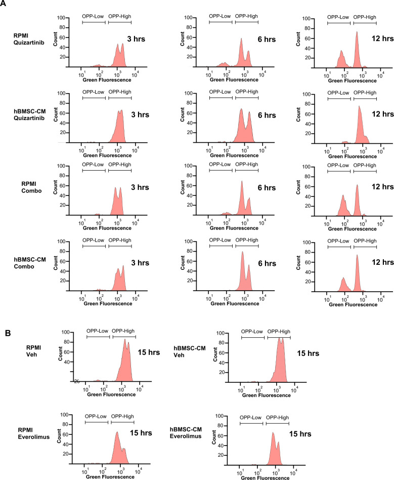 Figure 4—figure supplement 3.