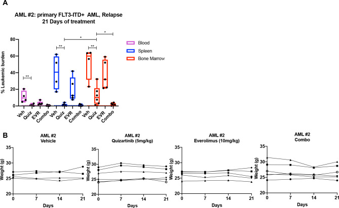 Figure 3—figure supplement 4.