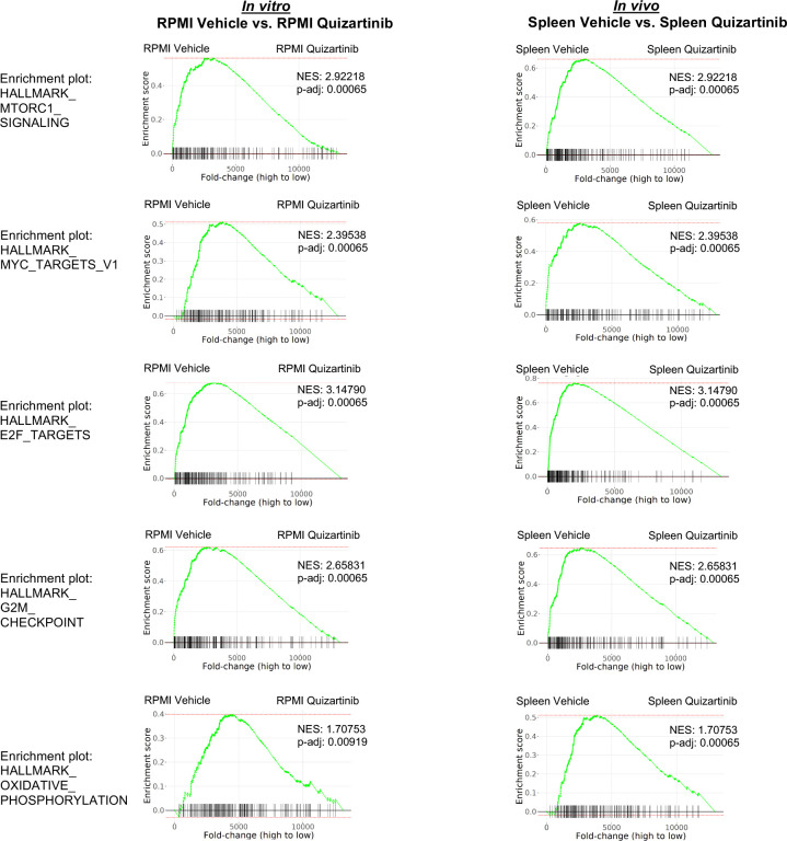 Figure 2—figure supplement 2.