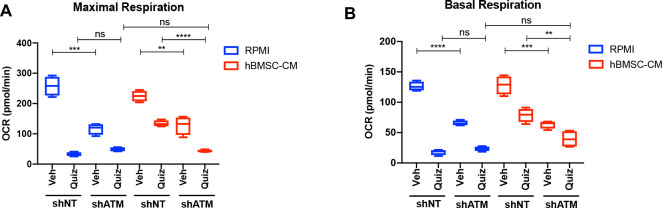 Figure 7—figure supplement 8.