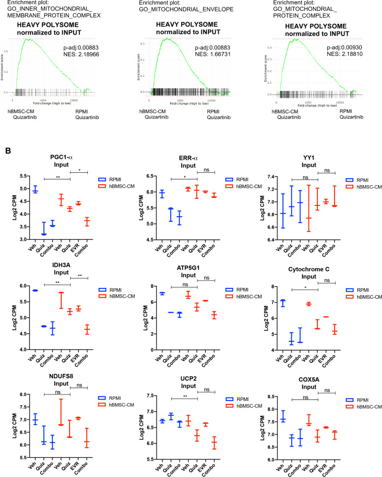 Figure 5—figure supplement 1.