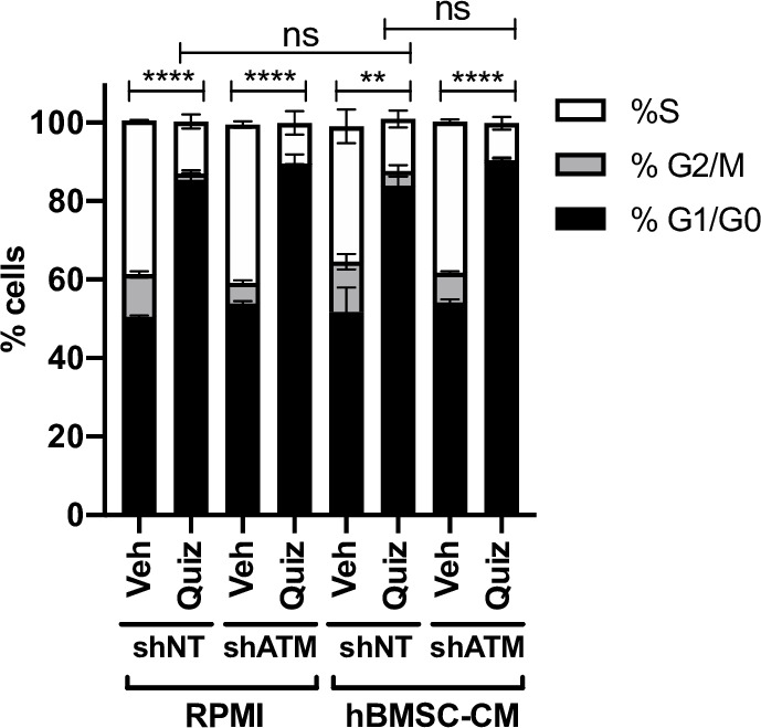 Figure 7—figure supplement 4.