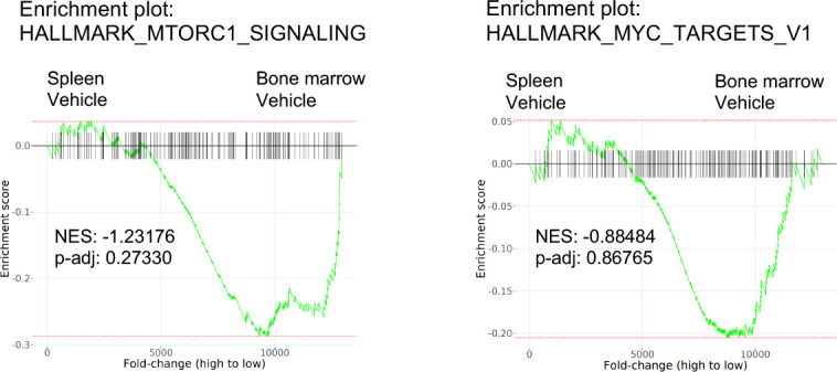 Figure 2—figure supplement 3.