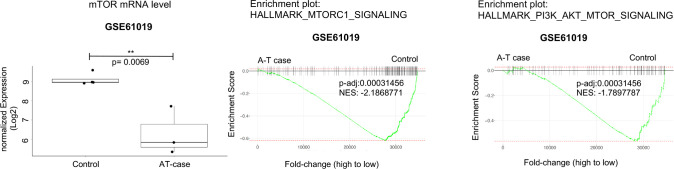 Figure 7—figure supplement 7.