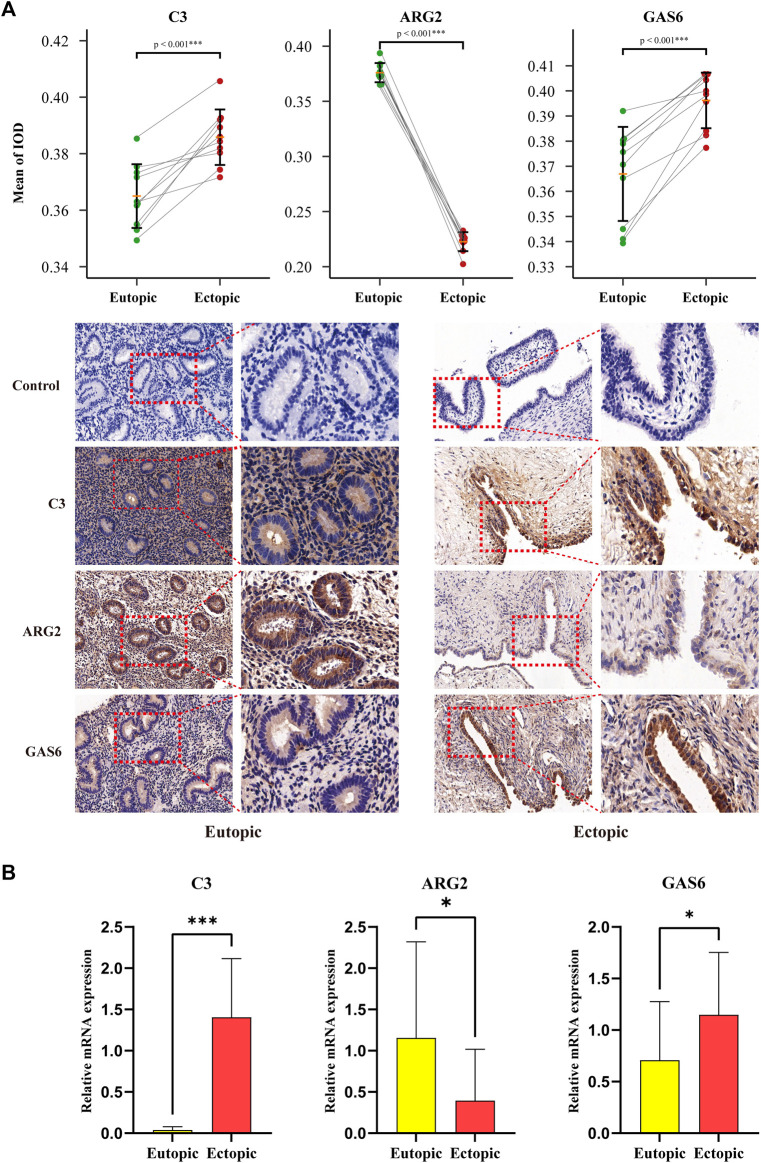 FIGURE 11