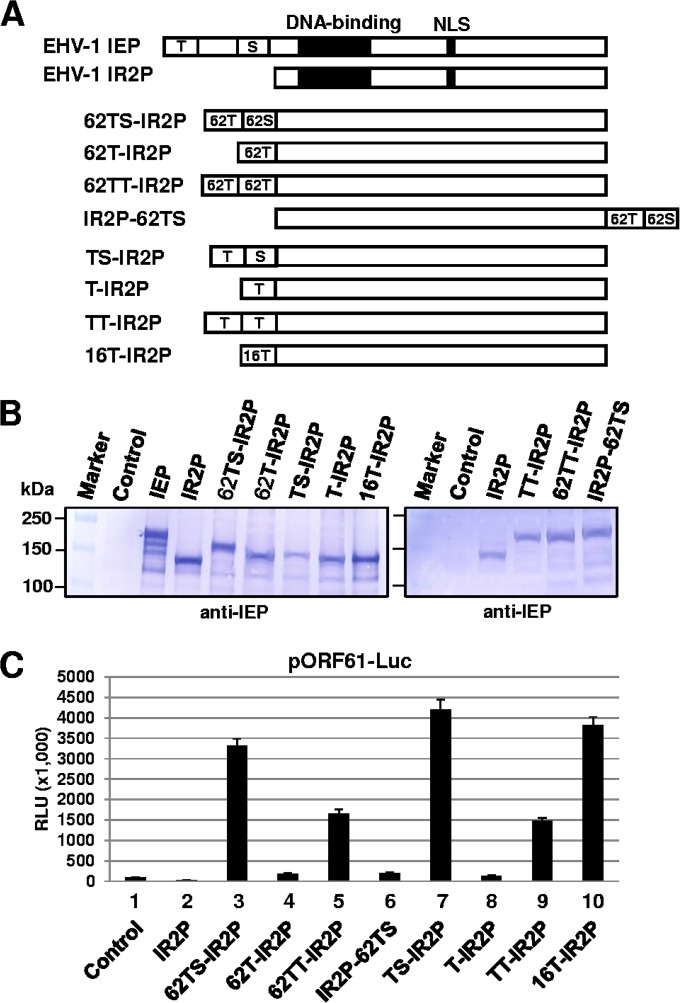 FIG 6