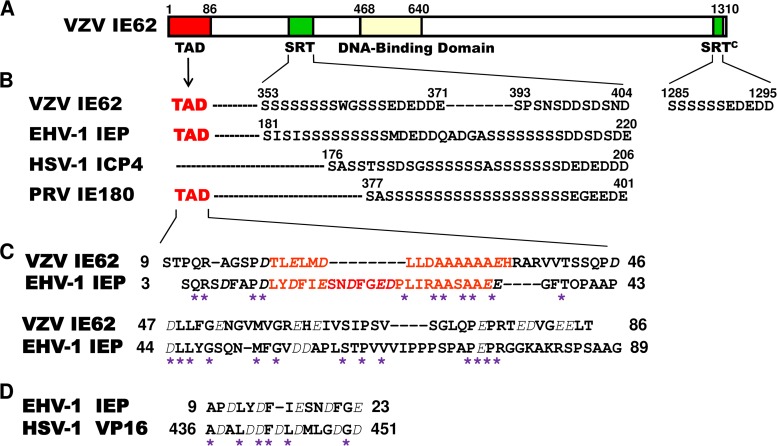 FIG 1