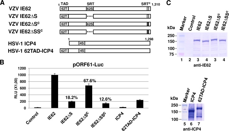 FIG 2