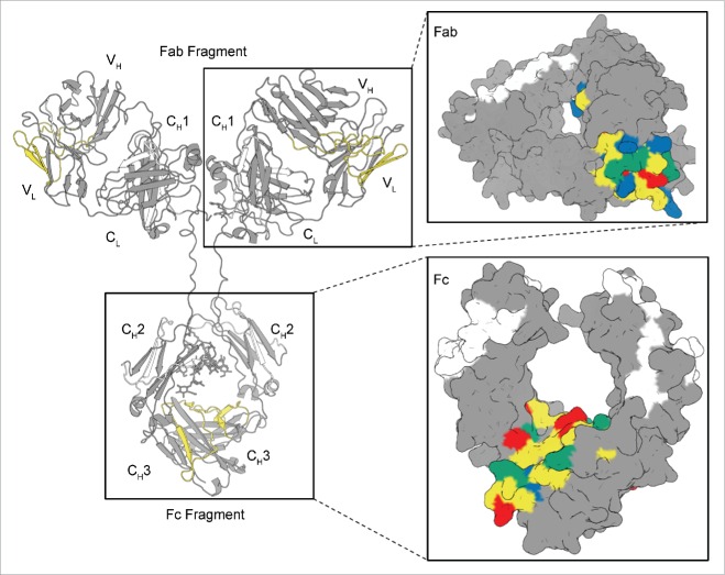 Figure 6.