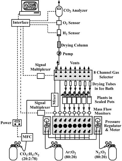 Figure 7.