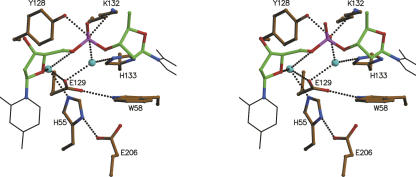 Figure 7.