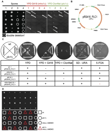 Figure 6