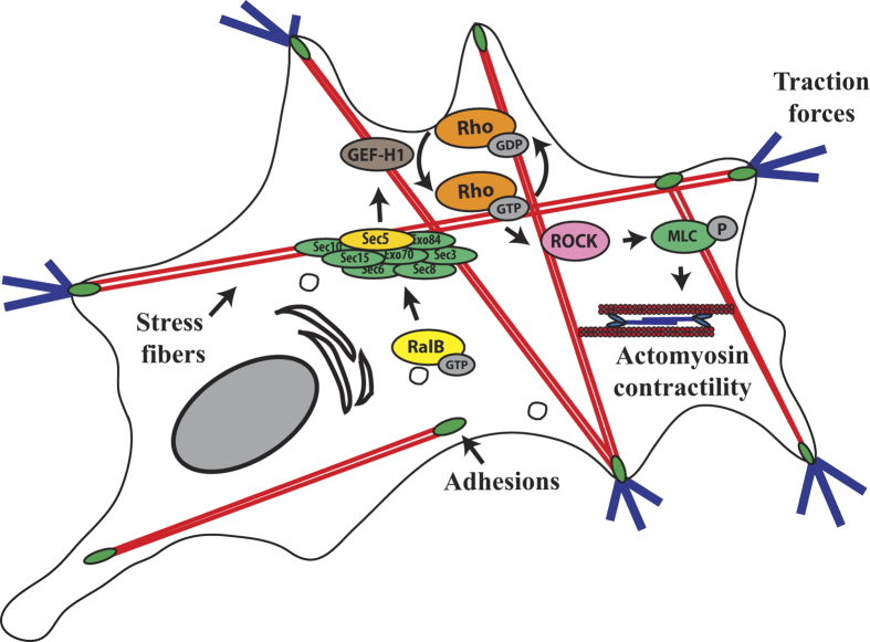 Figure 7