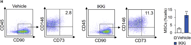 Figure 2H