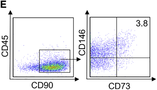 Figure 1E