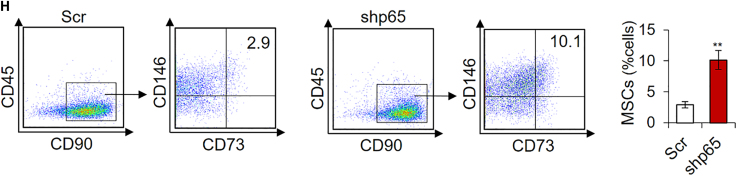 Figure 3H