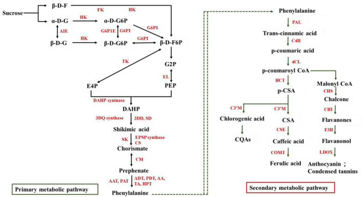 FIGURE 1