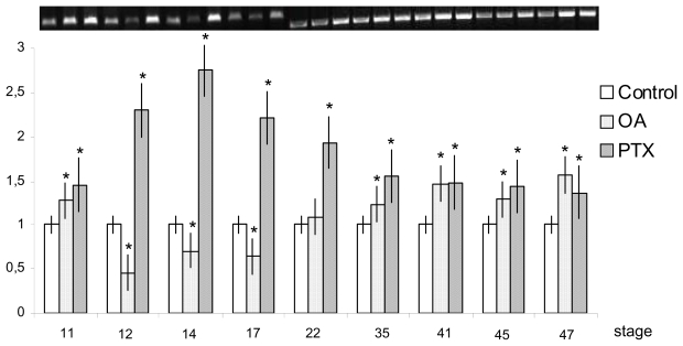 Figure 11