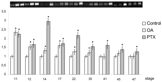 Figure 12