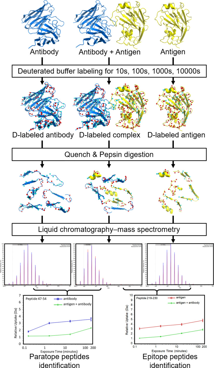 Figure 1