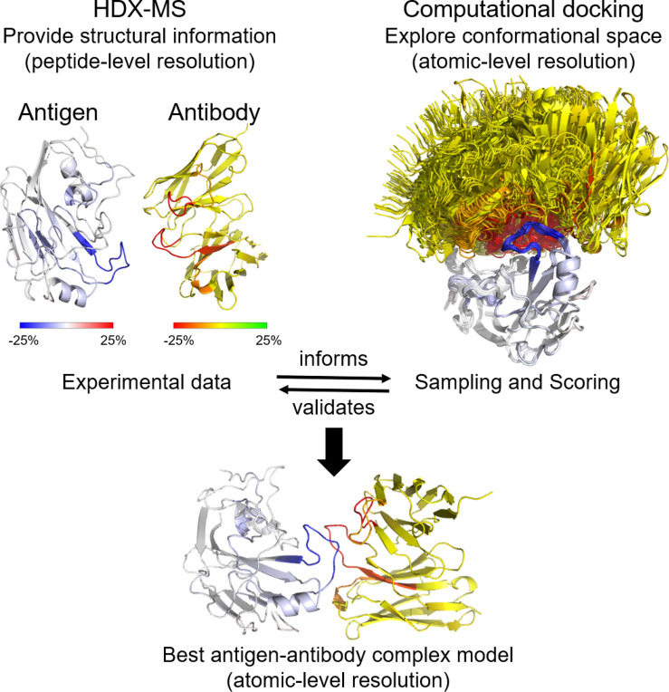 Graphical Abstract