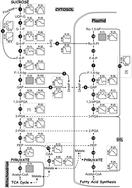 Figure 7.