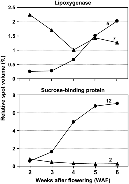 Figure 5.