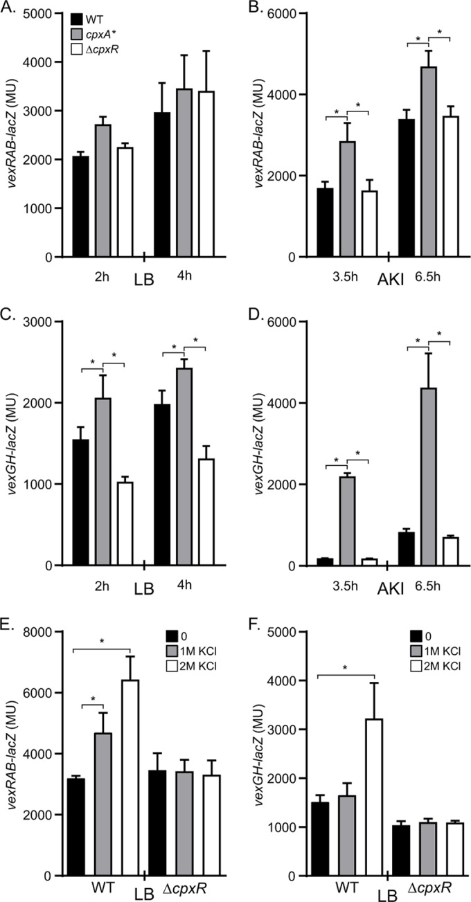 FIG 2