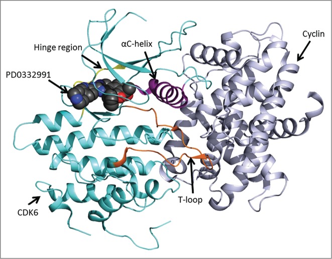 Figure 2.