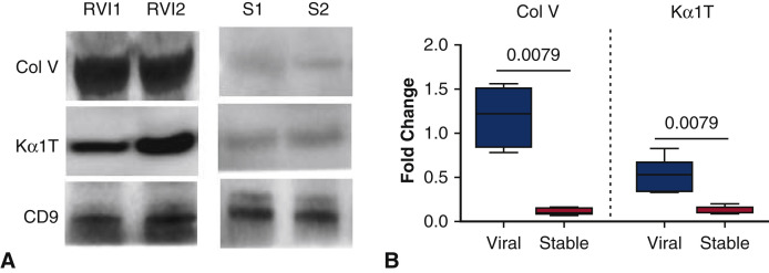 Figure 5