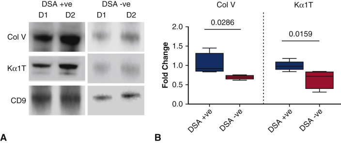 Figure 6