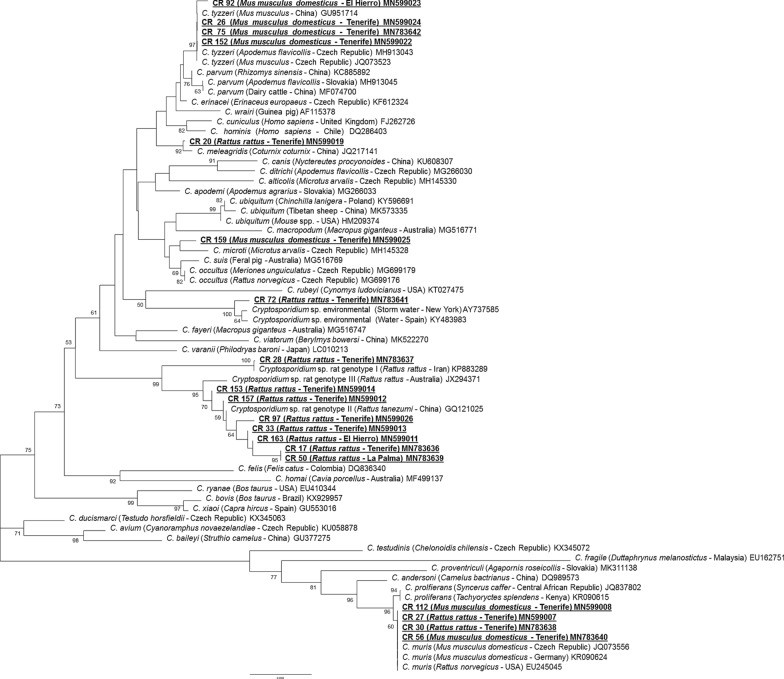 Fig. 2