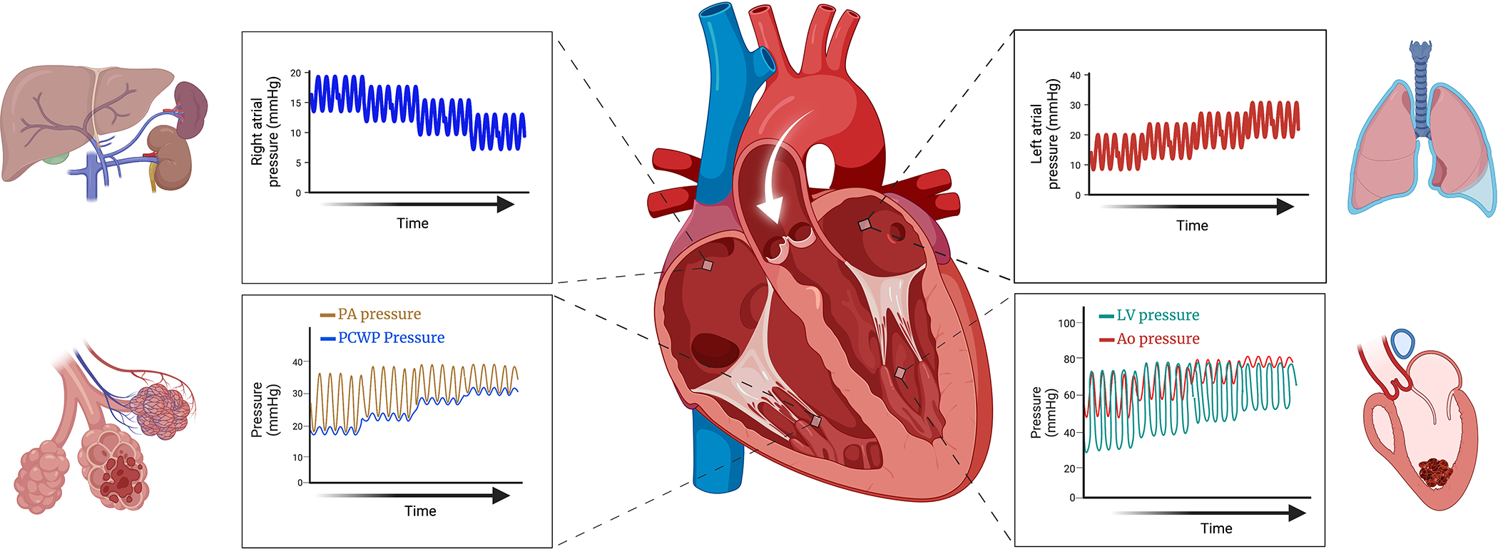 Figure 2: