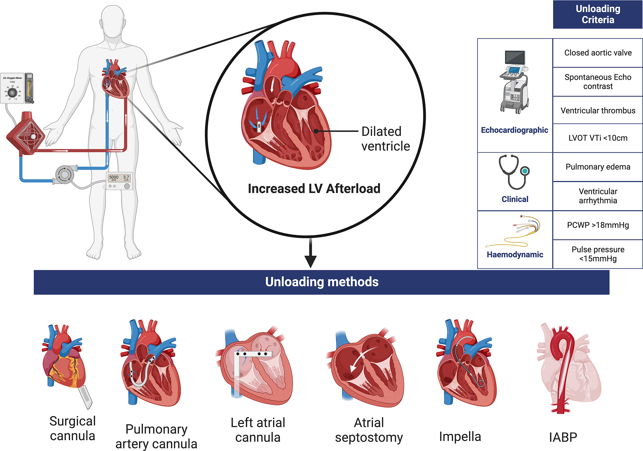 Figure 4: